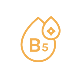 B5