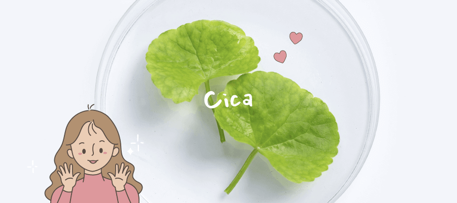 Common-Skincare-Ingredients-Which-One-Should-You-Use-img-1