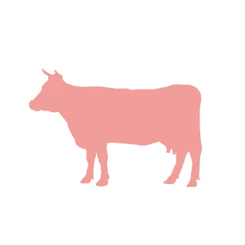 beef