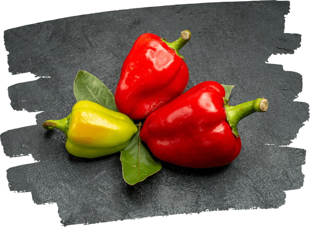 bellpepper-1024x751