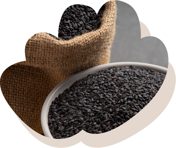 black-sesame-dark-background