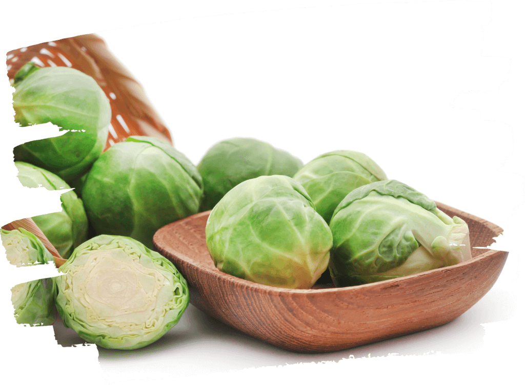 brusselsprout-1024x752