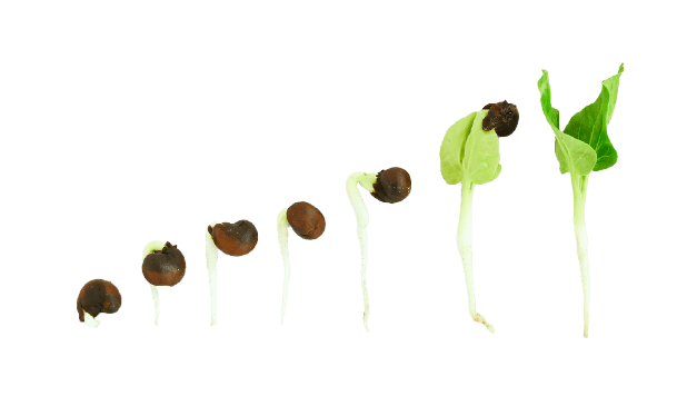 imgi_4_wellnature-buds