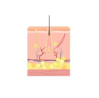 skin-health